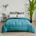 Couette Infante Cotelliana – photo 3